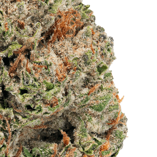 Gorilla Glue – THCa Flower