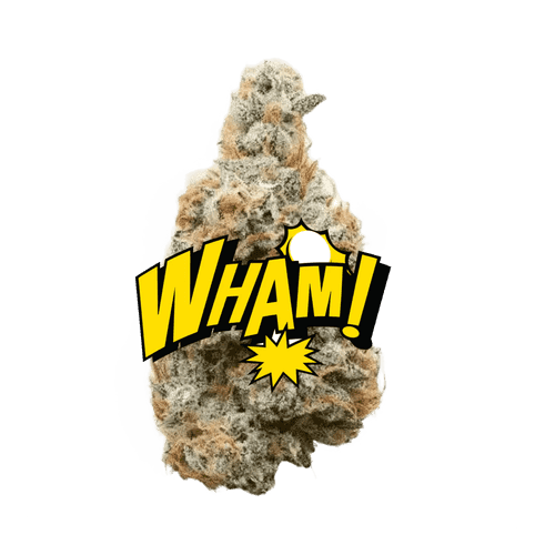 Lil Baby THC - Wham