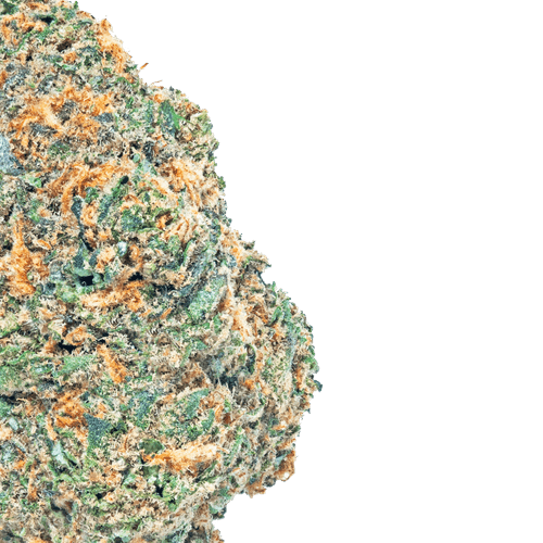 Rainbow Sherbet – THCa Flower