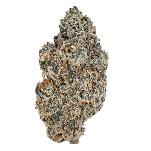 Gelato – THCa Flower